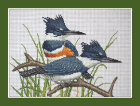 Belted Kingfisher cross stitch design